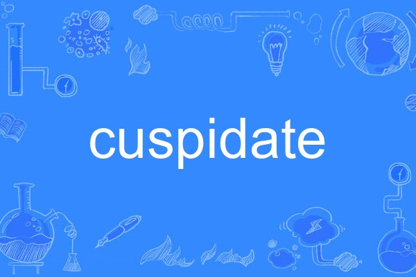 cuspidate cuspidate