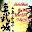 真武崛起 真武崛起