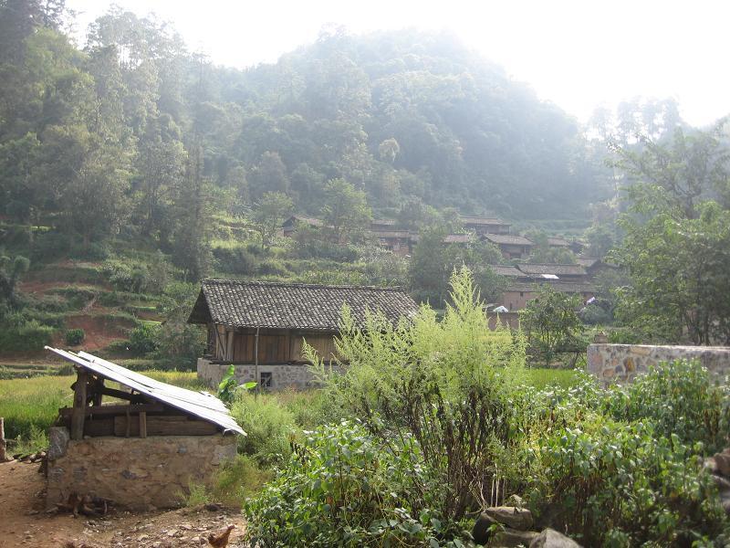 星陽村 星陽村