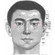 童子髎