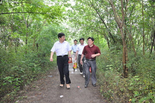 魏盪村(安徽省廬江縣同大鎮下轄村) 魏盪村(安徽省廬江縣同大鎮下轄村)