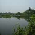 成都清水河公園 成都清水河公園