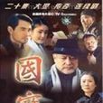 國寶(華人傳媒電視連續劇國寶 20碟裝(VCD))