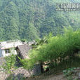 躍上村 躍上村