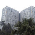 左右小區 左右小區