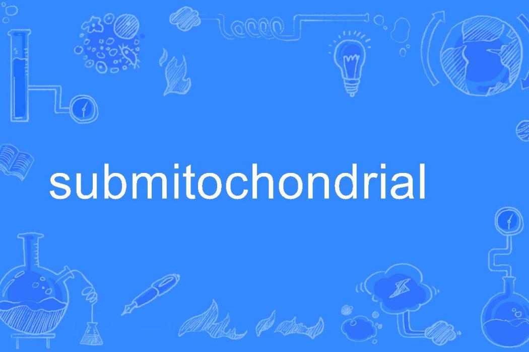 submitochondrial submitochondrial
