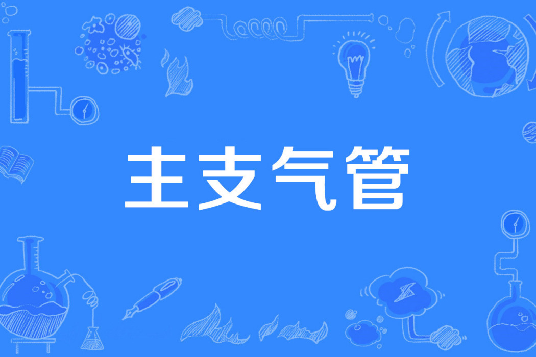 主支氣管 主支氣管