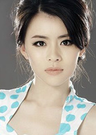 女婿難當(2012年馮興華執導電視劇)