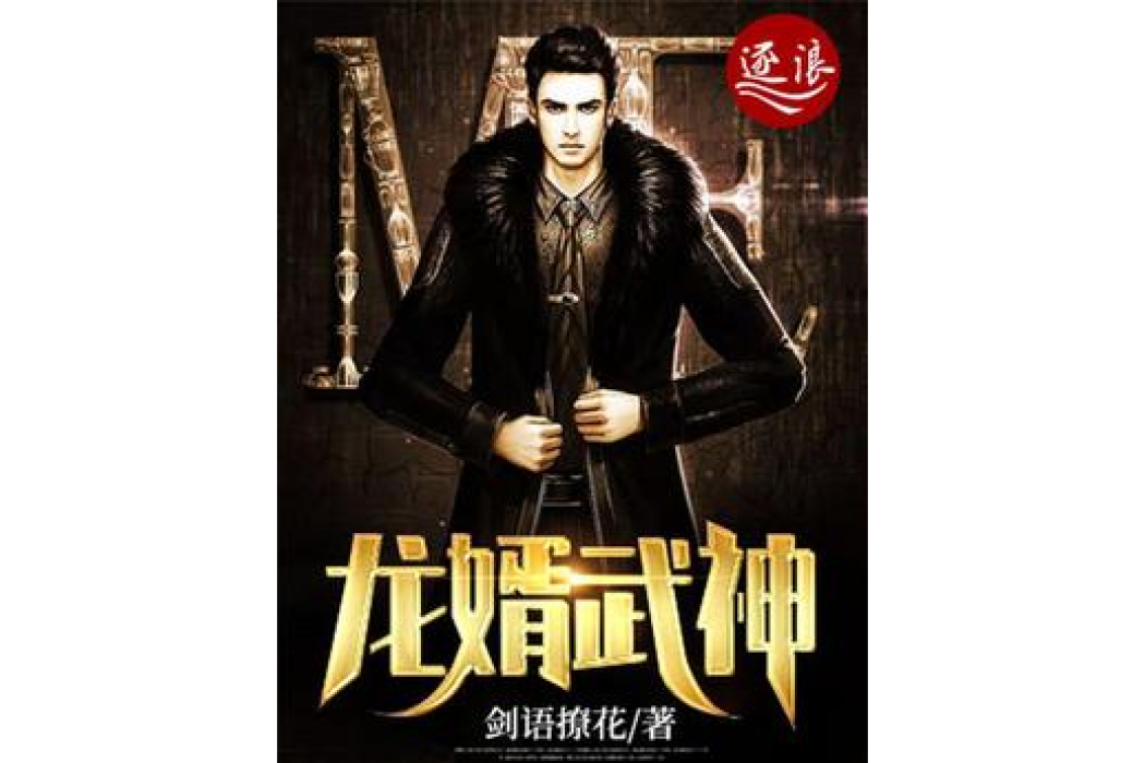 龍婿武神 龍婿武神