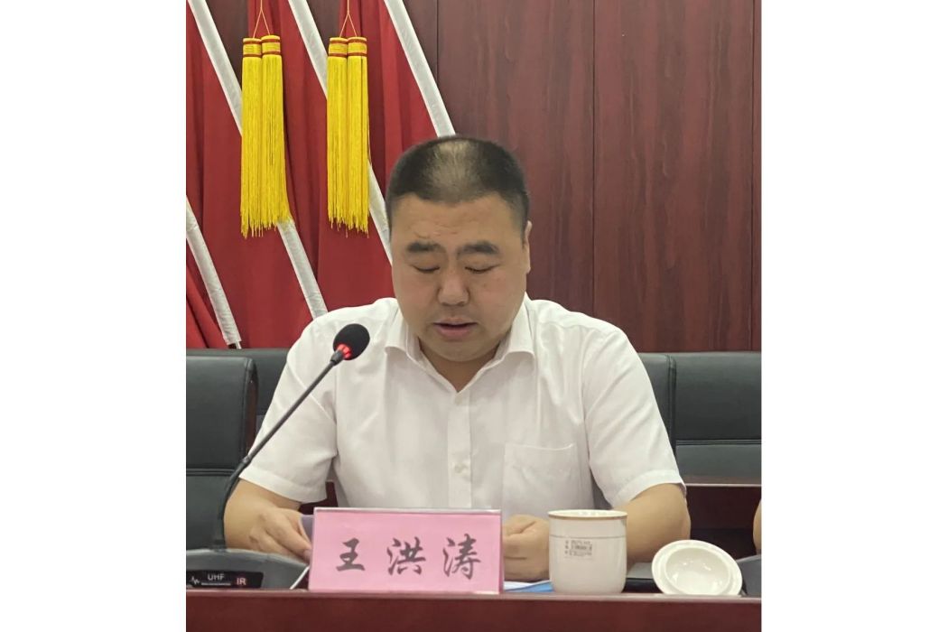 王洪濤(天津市薊州區州河灣鎮黨委書記) 王洪濤(天津市薊州區州河灣鎮黨委書記)