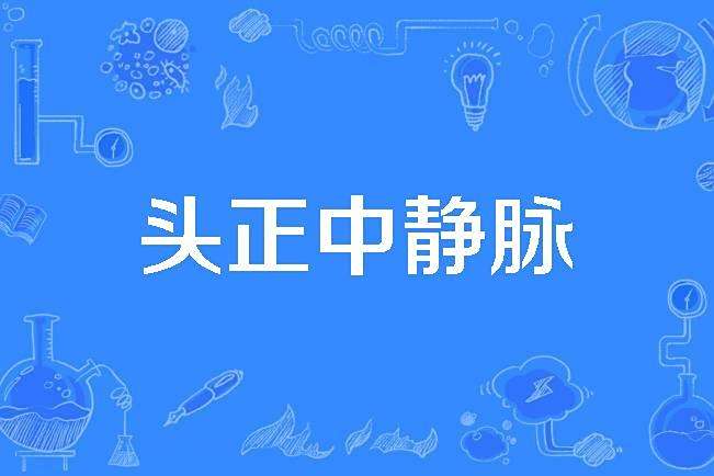 頭正中靜脈 頭正中靜脈