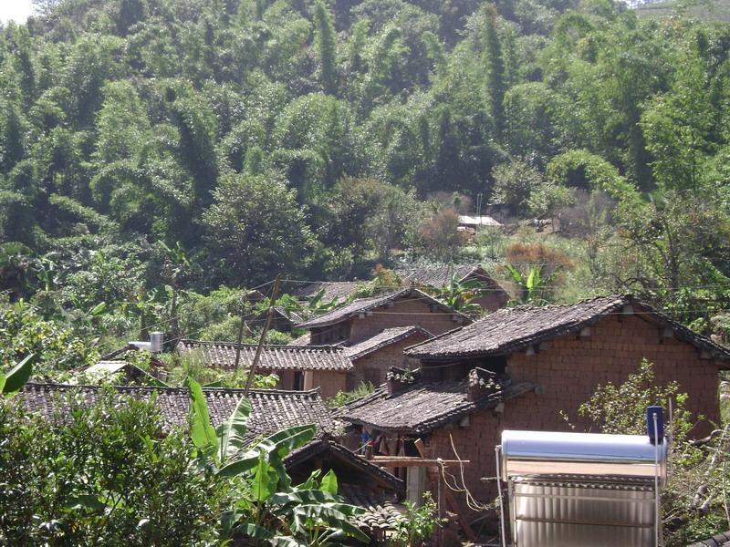 拋竹林村 拋竹林村