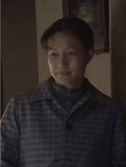 高秀蘭(郝岩飾演的《繼父》主要角色) 高秀蘭(郝岩飾演的《繼父》主要角色)
