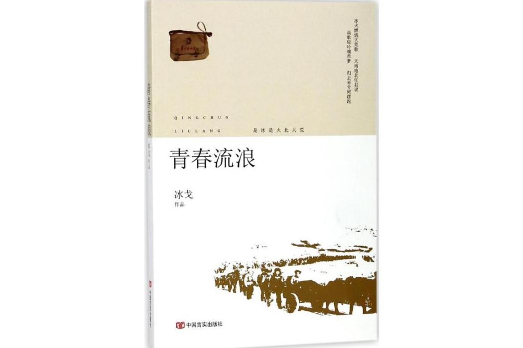 青春流浪(2018年中國言實出版社出版的圖書) 青春流浪(2018年中國言實出版社出版的圖書)