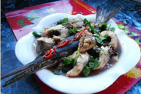 燉針嘴魚 燉針嘴魚