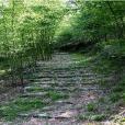 小嶺古道