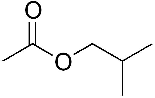 乙酸異丁酯