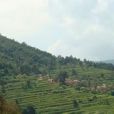 小魯都村 小魯都村