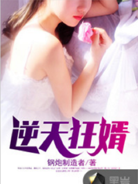 逆天狂婿(鋼炮製造者著網路小說) 逆天狂婿(鋼炮製造者著網路小說)