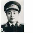 陳茂輝(福建上杭籍少將) 陳茂輝(福建上杭籍少將)