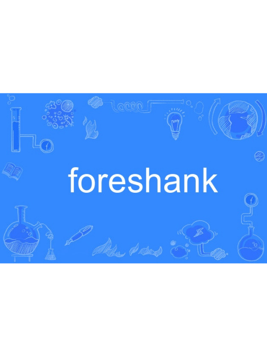foreshank foreshank