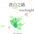 洗白之路 洗白之路
