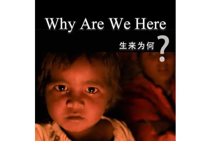 生來為何 生來為何