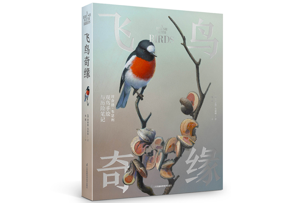 飛鳥奇緣 飛鳥奇緣
