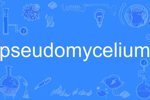 pseudomycelium pseudomycelium