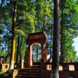 合江法王寺 合江法王寺