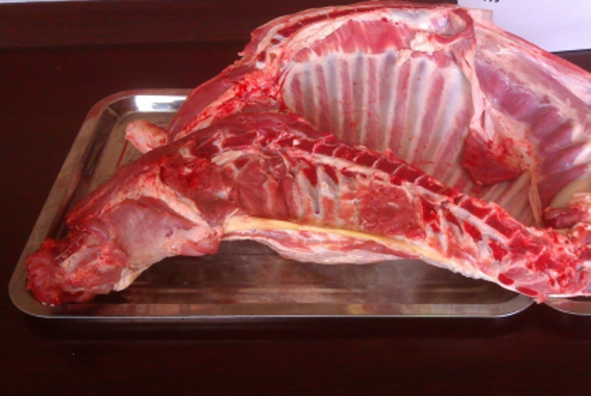 涼州羊羔肉 涼州羊羔肉
