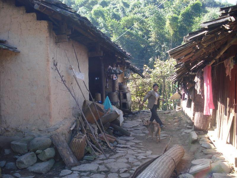 老鼠洞村 老鼠洞村