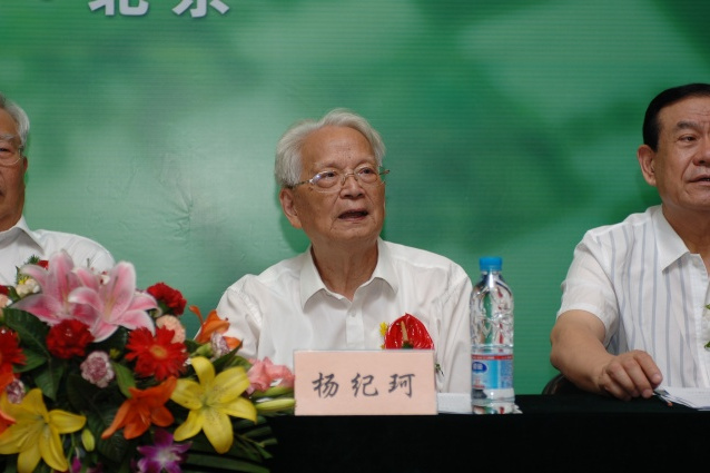 楊紀柯 楊紀柯