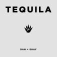 Tequila(Dan + Shay演唱歌曲) Tequila(Dan + Shay演唱歌曲)