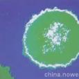 水基清蠟劑 水基清蠟劑