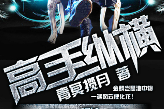 高手縱橫 高手縱橫