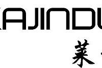 萊卡金頓 萊卡金頓