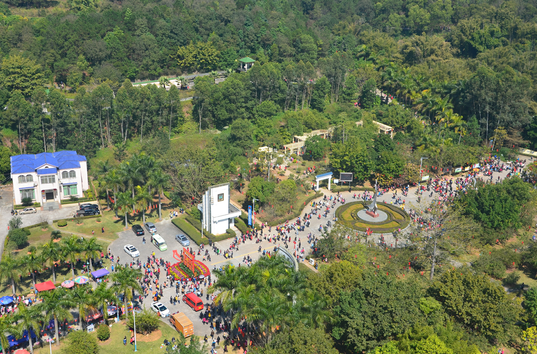 大王山國家森林公園