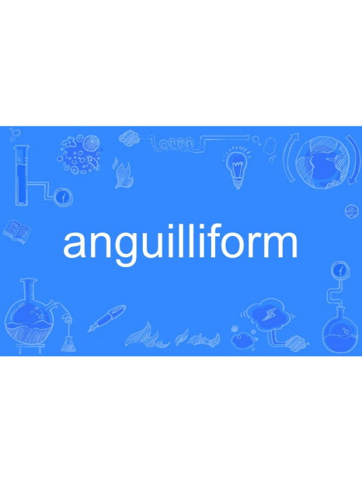 anguilliform anguilliform