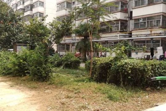 三英花園 三英花園