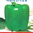甜椒1號 甜椒1號