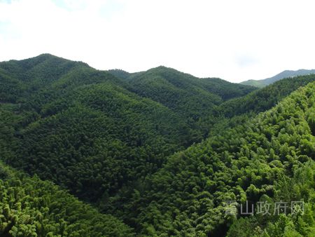 桃源河村 桃源河村
