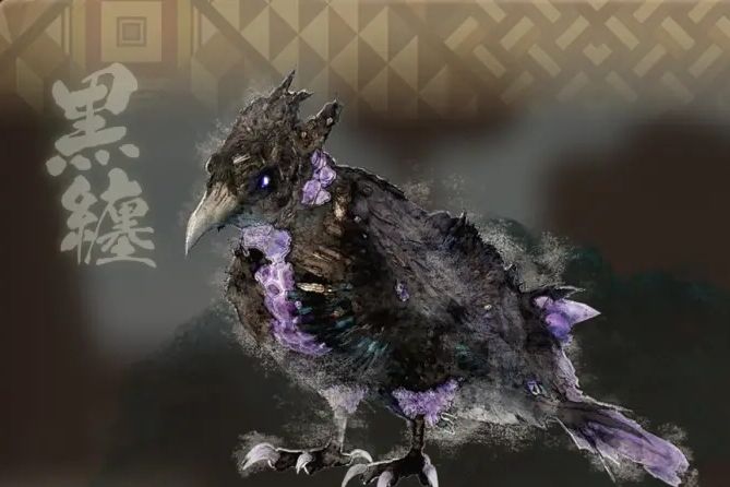 黑纏鴉 黑纏鴉
