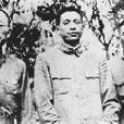 陳素農 陳素農