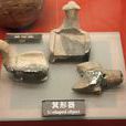 箕形器 箕形器