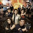 同盟(2017年TVB劇集) 同盟(2017年TVB劇集)