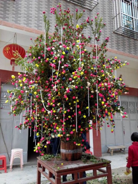 花粄 花粄