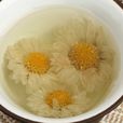 滁菊 滁菊