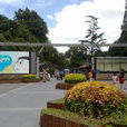 中山公園(上海市長寧區中山公園)