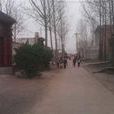 下菜園村 下菜園村